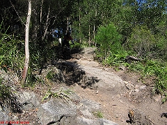 20070520-Bulli 057 